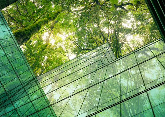 Image d'un bâtiment entouré d'une forêt, symbole de notre ambition de développement des activités dans le respect de la nature.